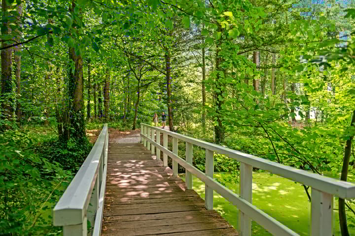 Photo 44 of Oostduinplein 243