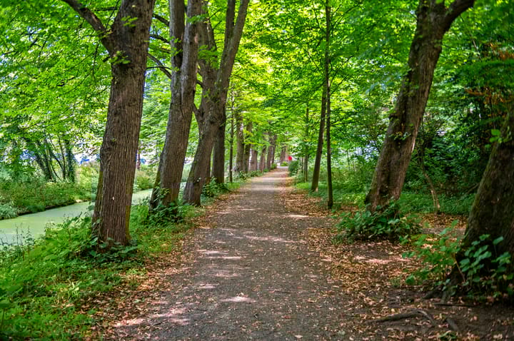 Photo 48 of Oostduinplein 243