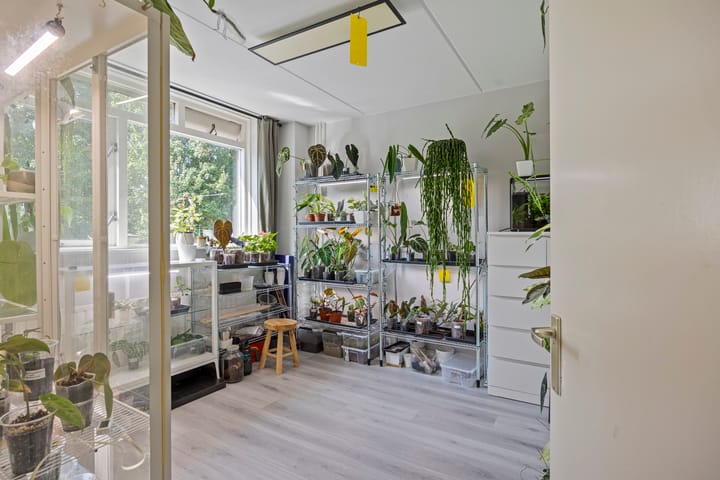 Foto 23 van Kleine Steenkamp 4