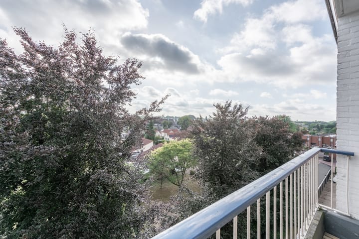 Foto 36 van Henri Dunantlaan 359