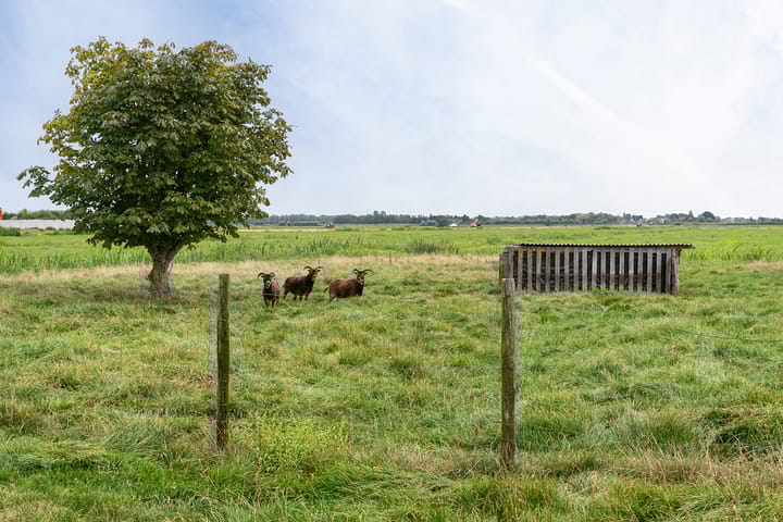 Foto 37 van Achterland 15-A