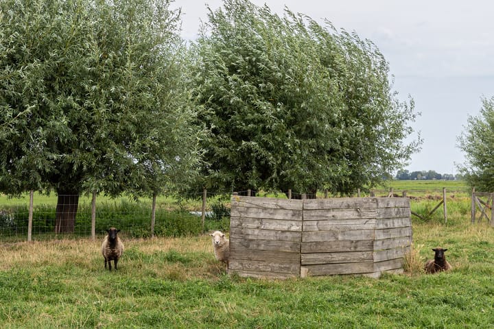 Foto 55 van Achterland 15-A