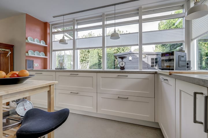 Photo 18 of Akelei 47