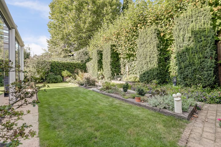 Photo 48 of Akelei 47