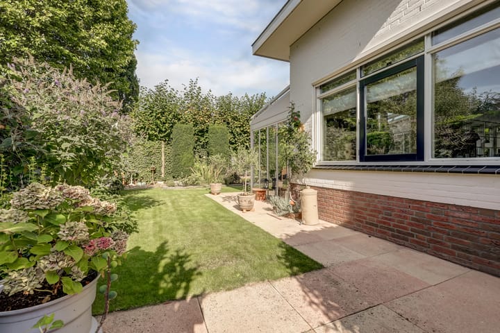 Photo 49 of Akelei 47