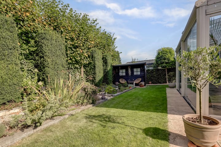 Photo 50 of Akelei 47