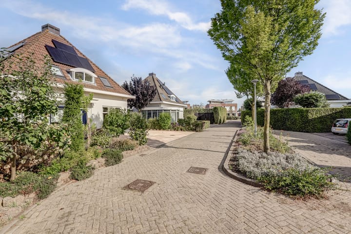 Photo 58 of Akelei 47