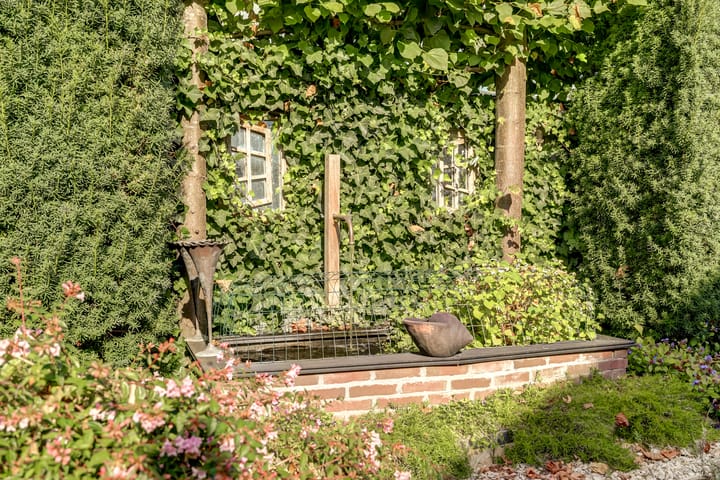 Photo 56 of Akelei 47