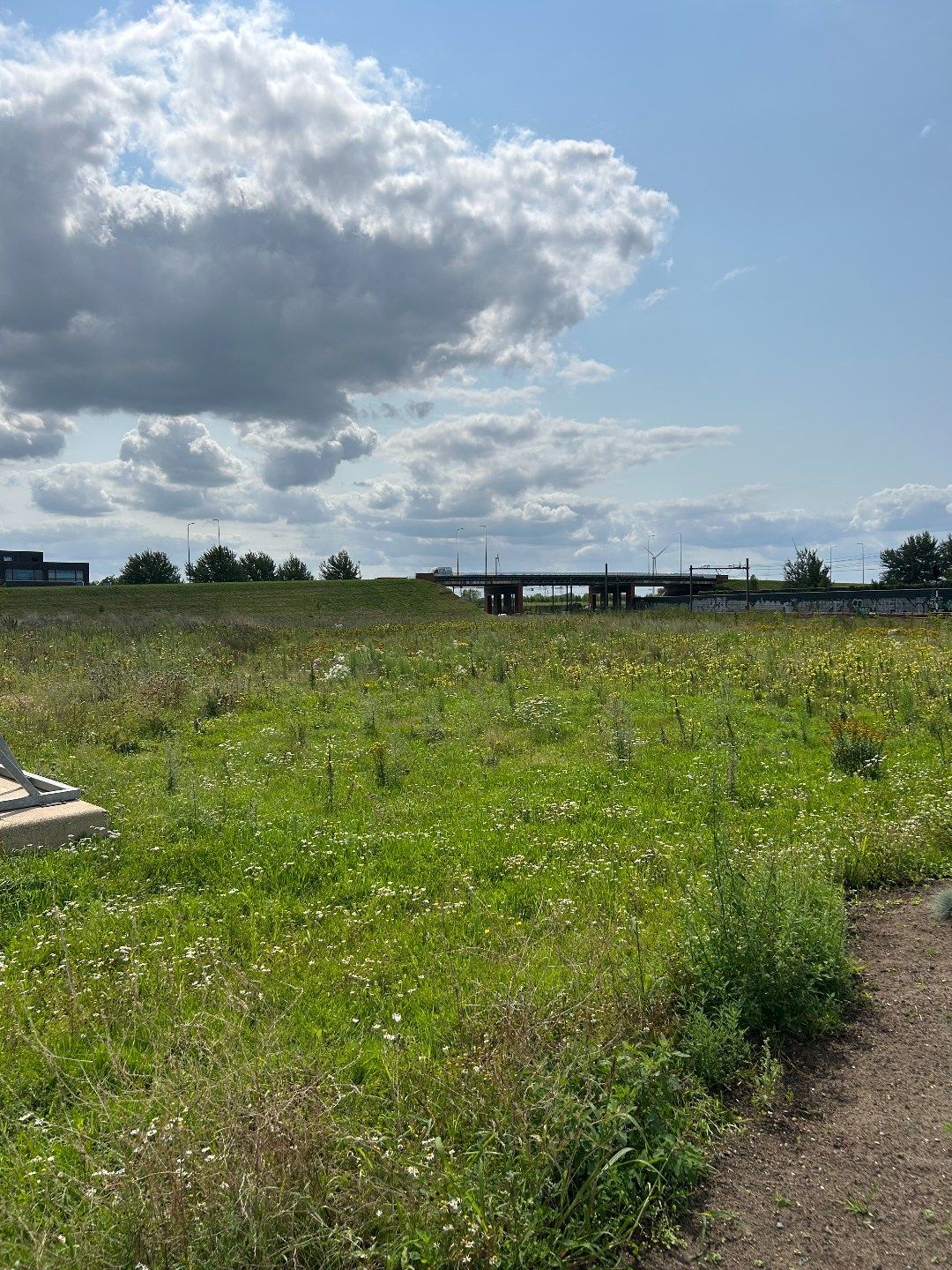 Bekijk foto 3 van Industrieweg 8