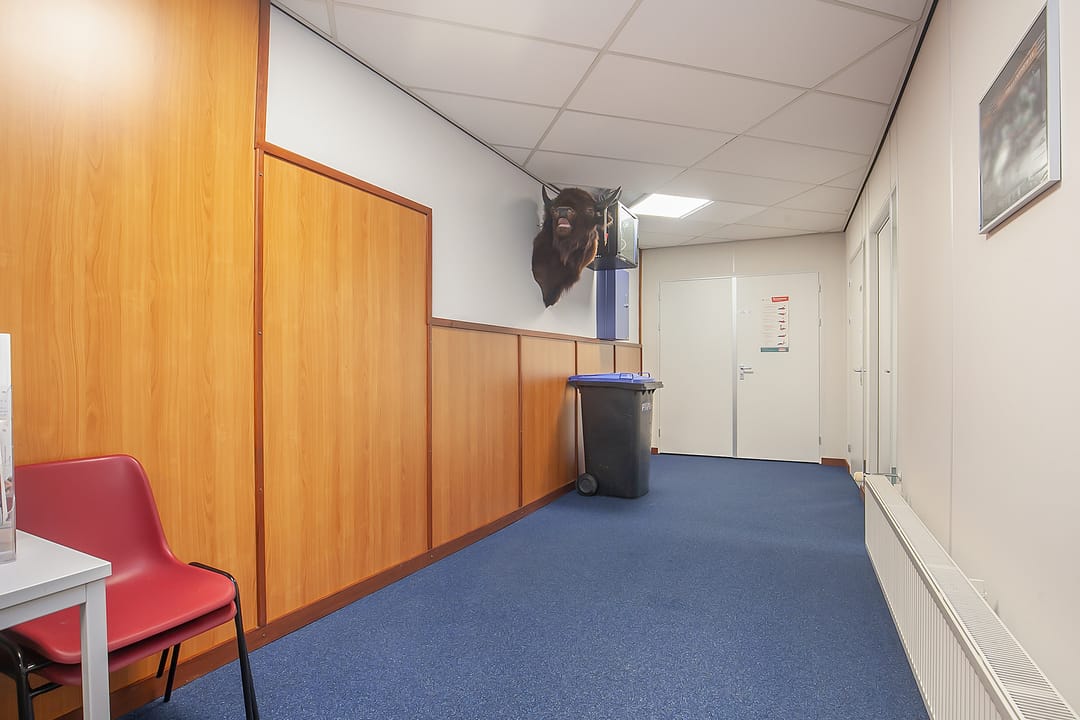 Foto 52 van Van Dedemstraat 180