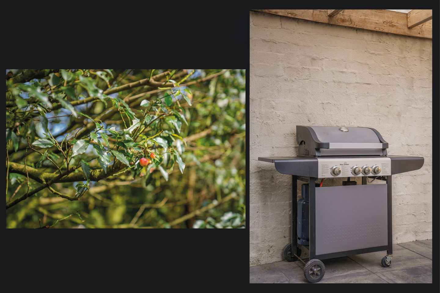 Foto 35 van Octopusstraat 3