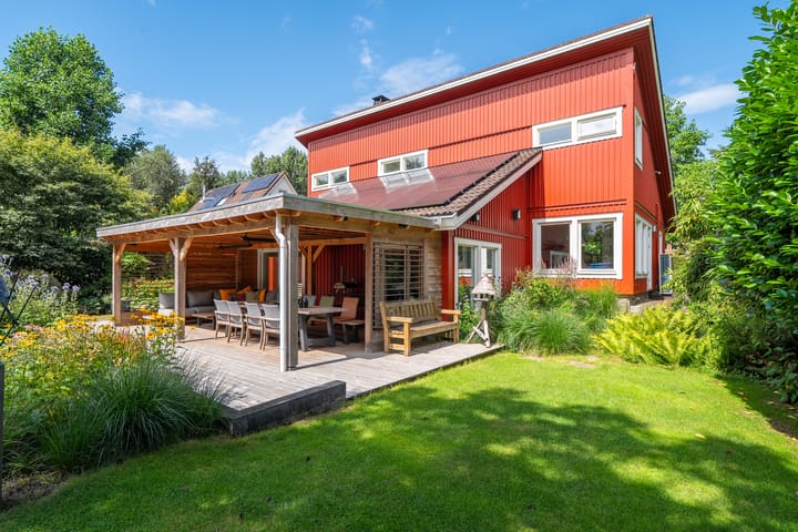 Foto 1 van Roerdomp 3