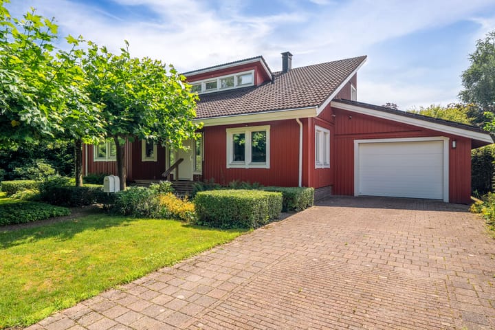 Foto 6 van Roerdomp 3