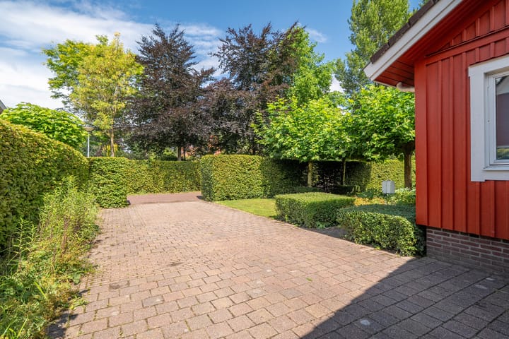 Foto 7 van Roerdomp 3