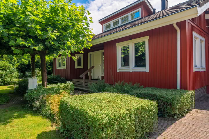 Foto 8 van Roerdomp 3