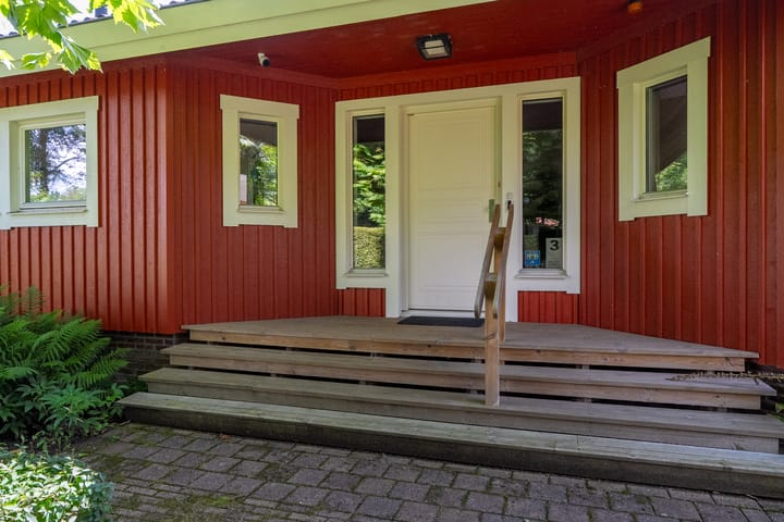 Foto 9 van Roerdomp 3