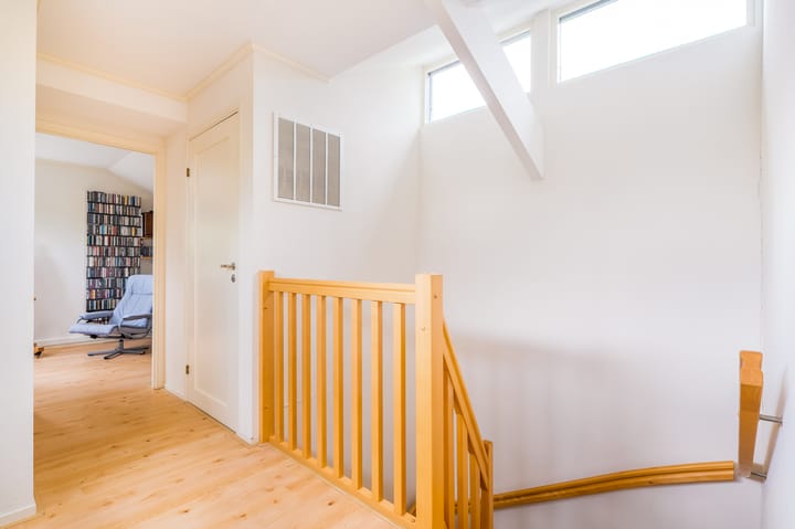 Foto 32 van Roerdomp 3