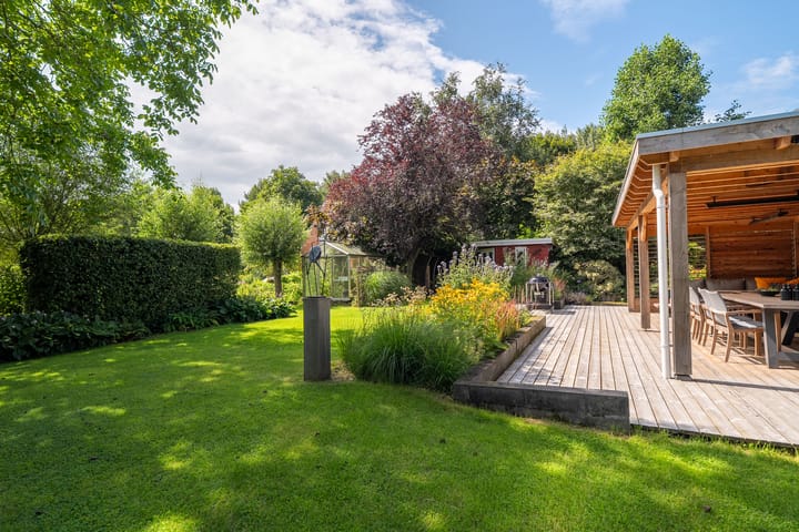 Foto 46 van Roerdomp 3