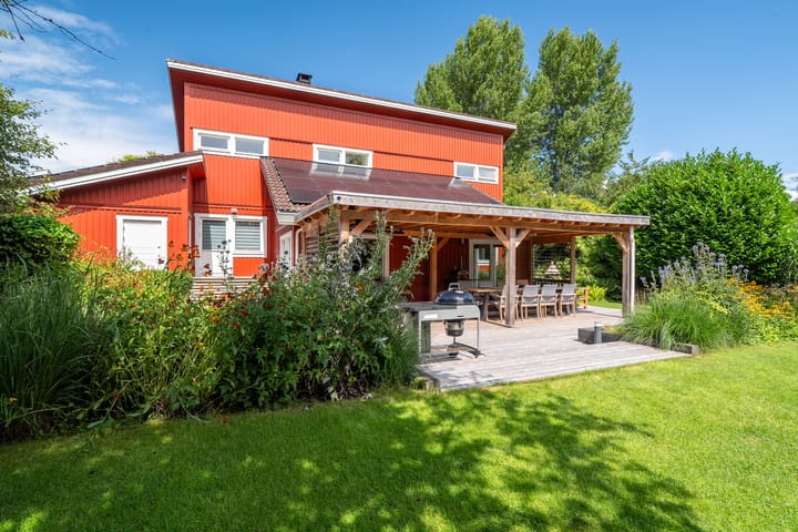 Foto 47 van Roerdomp 3