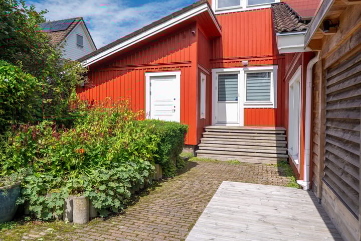 Foto 48 van Roerdomp 3