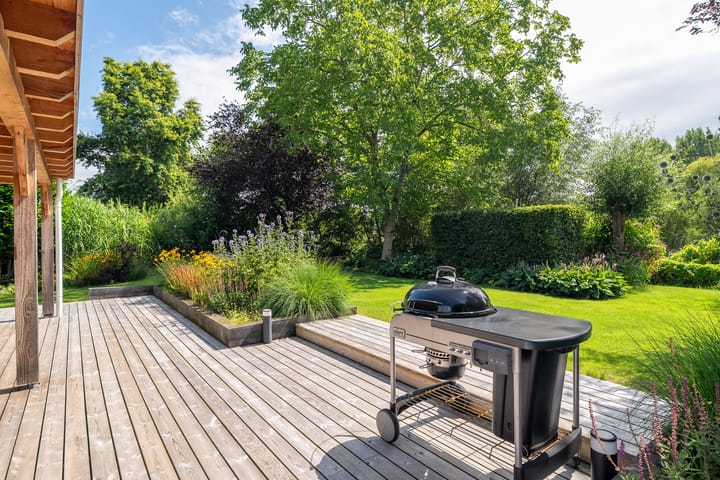 Foto 54 van Roerdomp 3