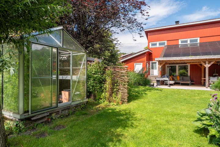 Foto 57 van Roerdomp 3