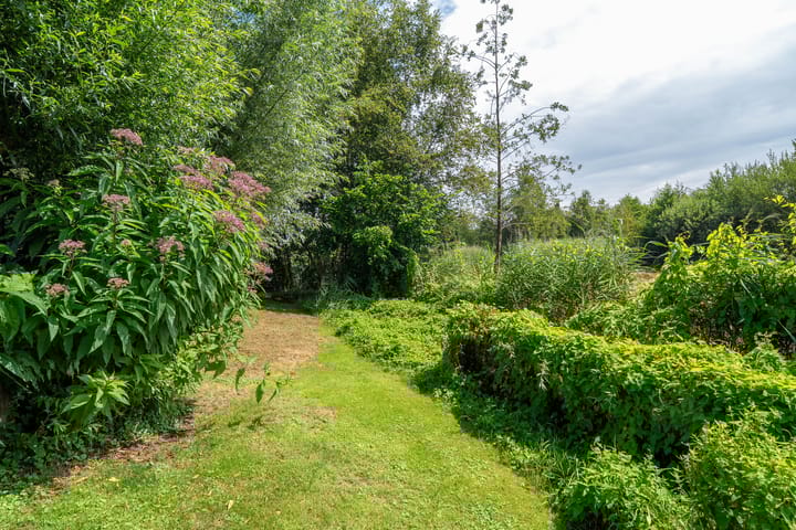 Foto 58 van Roerdomp 3