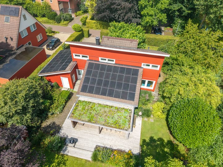 Foto 59 van Roerdomp 3