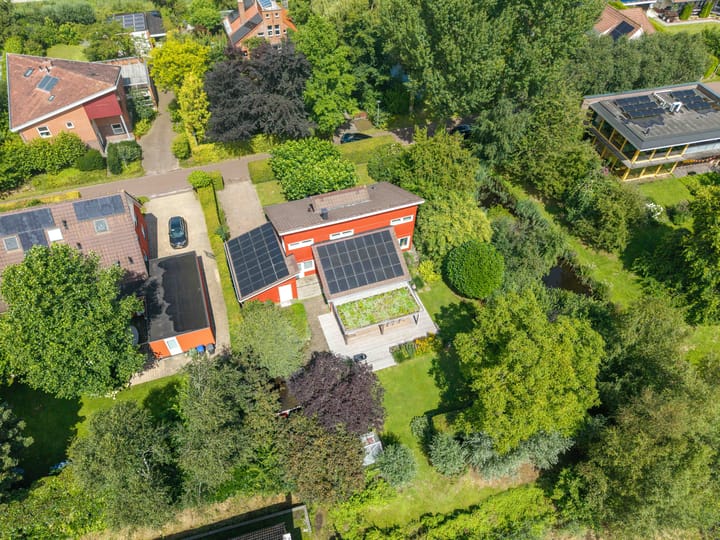 Foto 60 van Roerdomp 3