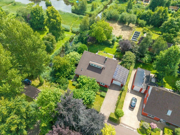 Foto 61 van Roerdomp 3