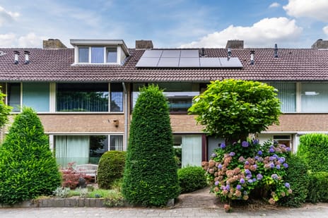 undefined main image