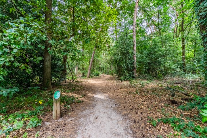 Foto 41 van Admiraal Byrdstraat 4