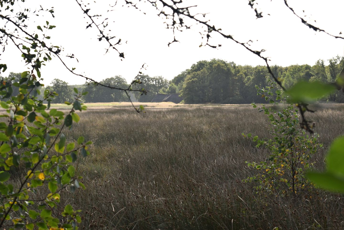 Photo 1 of De Oostermaat 38