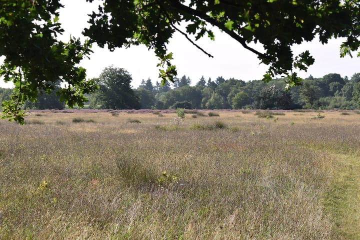 Photo 12 of De Oostermaat 38