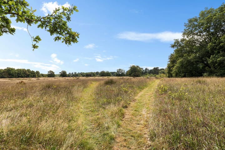 Photo 13 of De Oostermaat 38