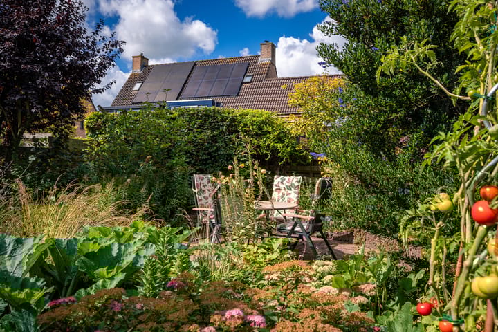 Foto 11 van Leeuwenhorst 6