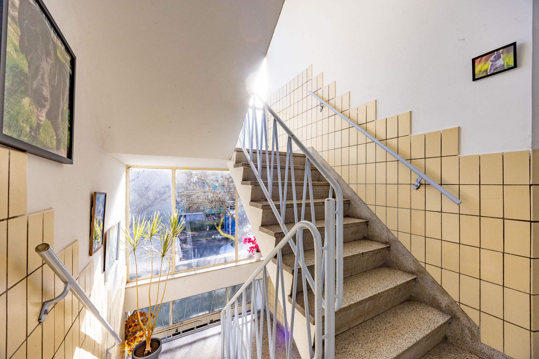 Foto 21 van Wantsnijdersgaarde 543