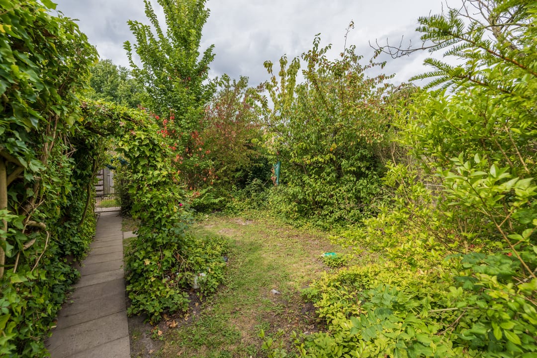 Foto 11 van Lichterstraat 11