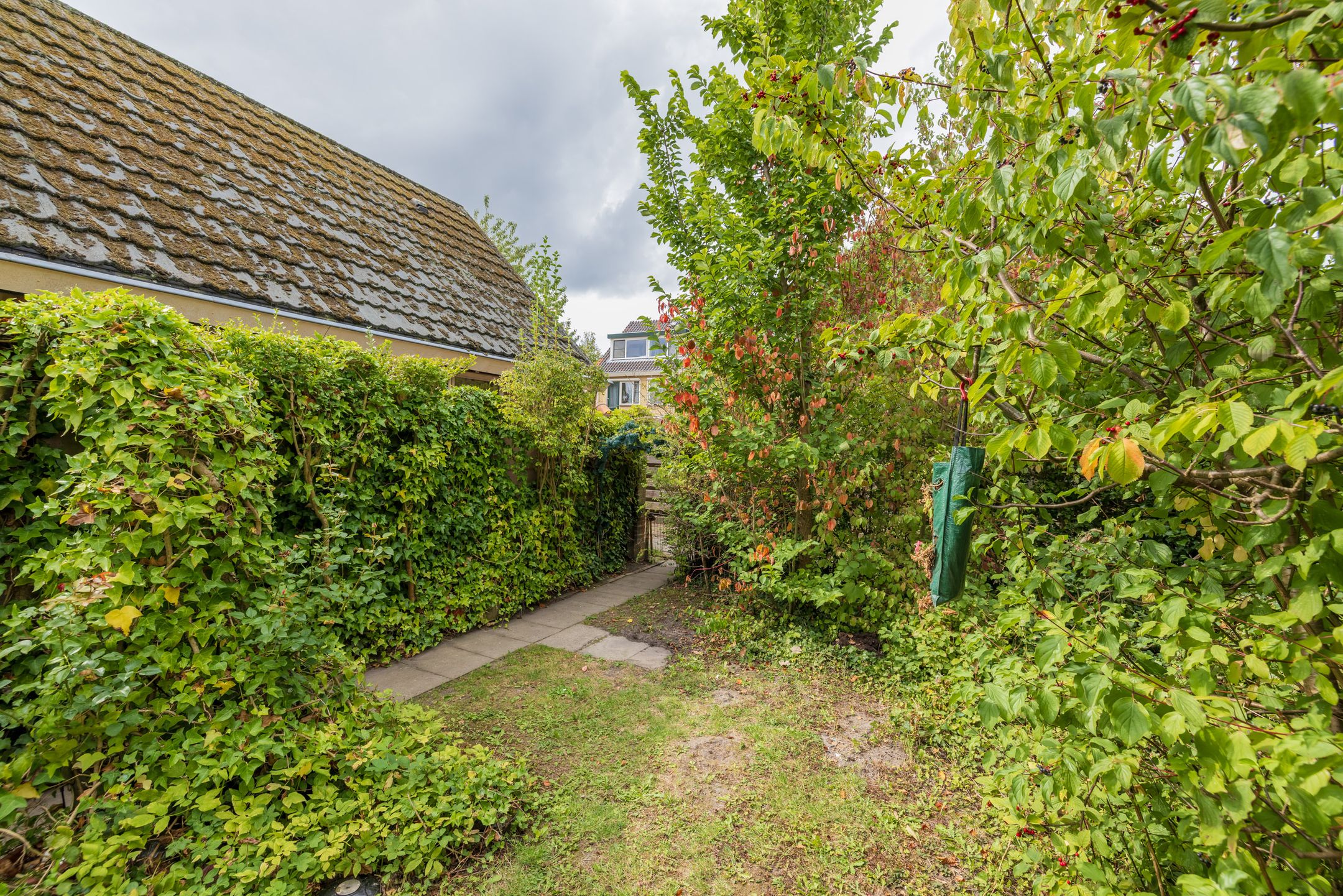 Foto 12 van Lichterstraat 11