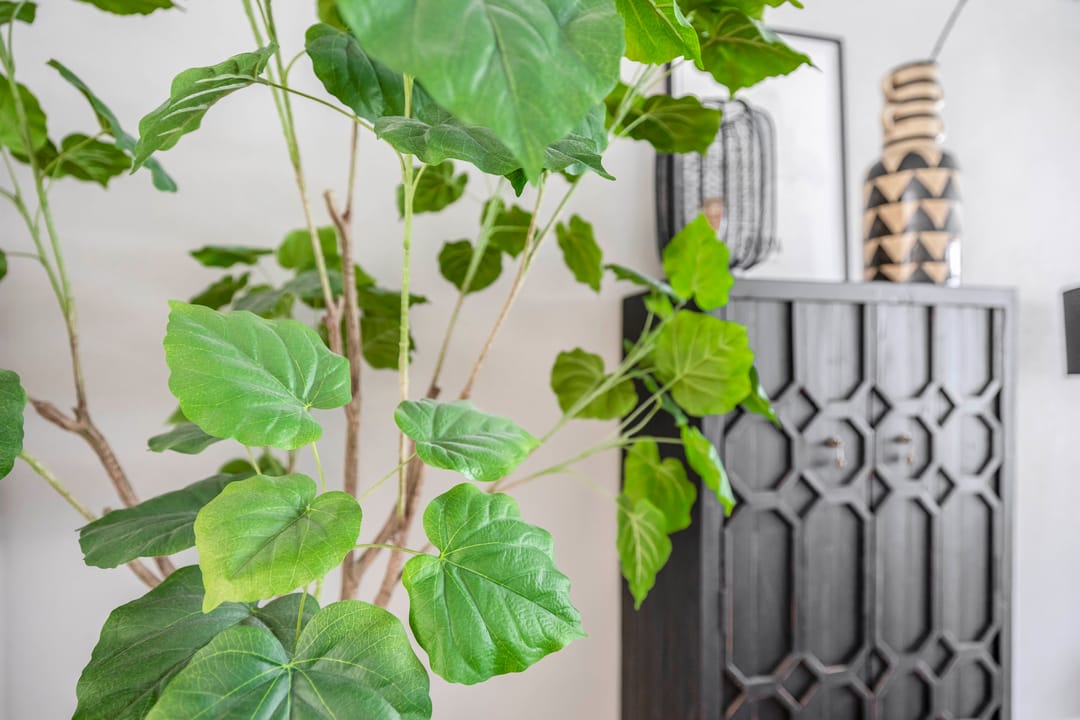 Photo 13 of Noorderwerf 7