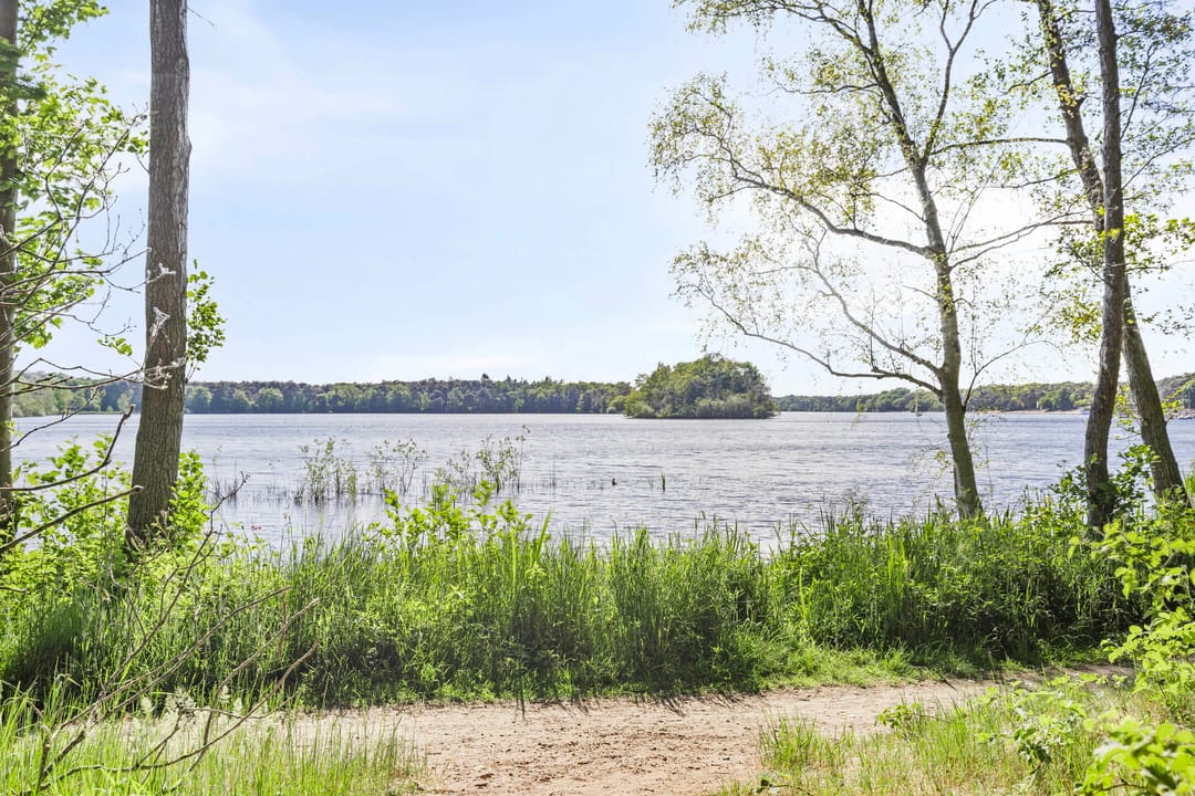 Foto 41 van Acacialaan 10