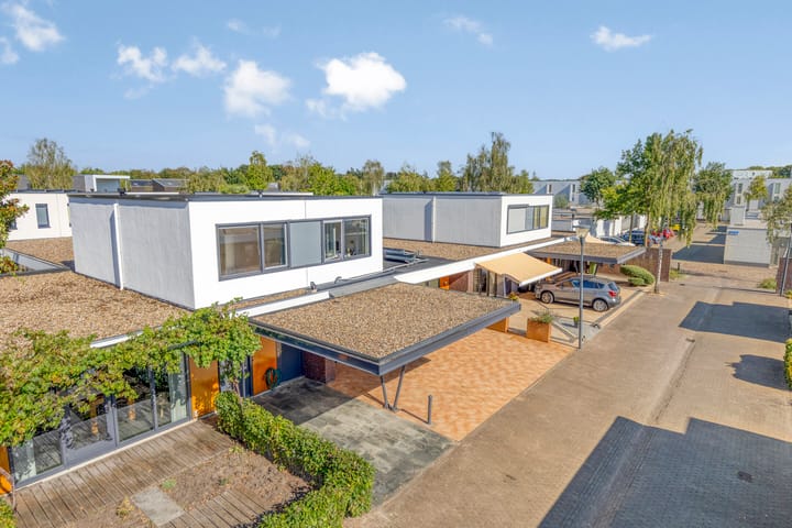 Photo 32 of Zandzegge 63