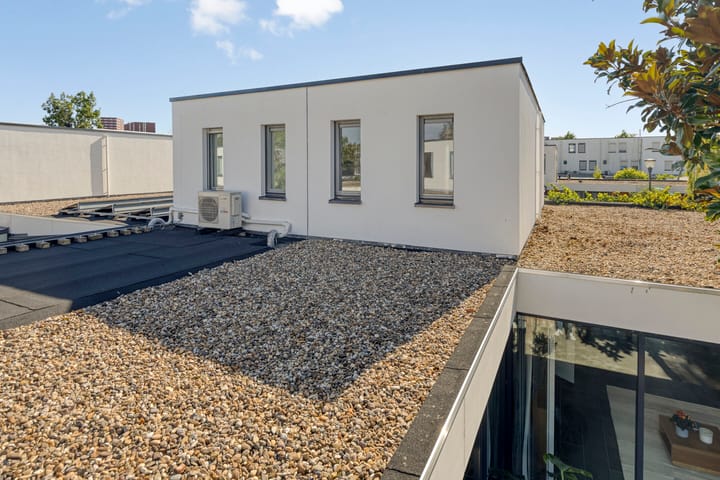 Photo 25 of Zandzegge 63