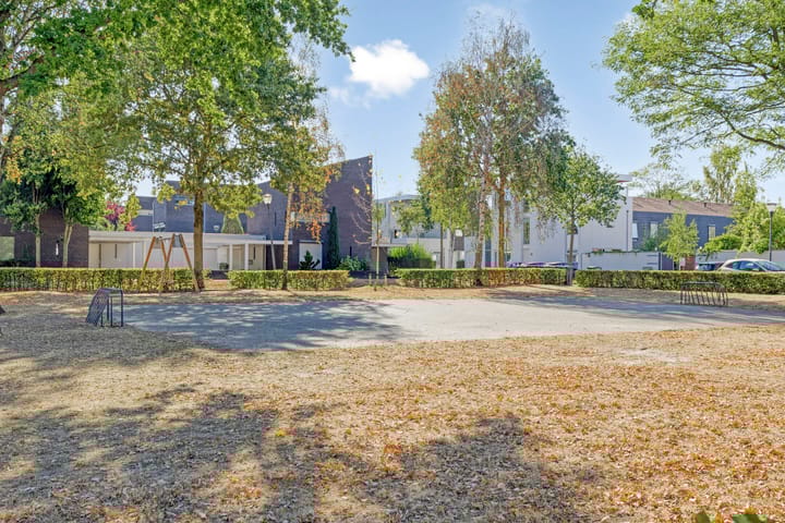 Photo 35 of Zandzegge 63