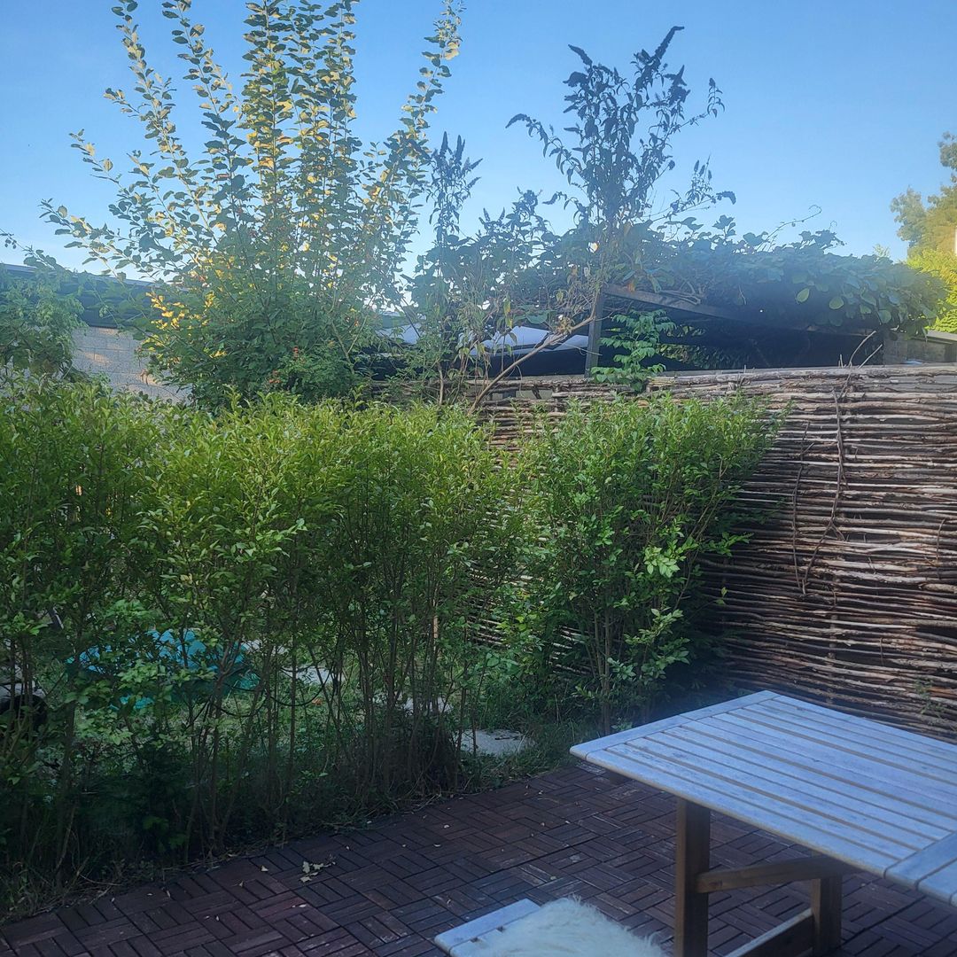 Foto 23 van Vredenburg 118