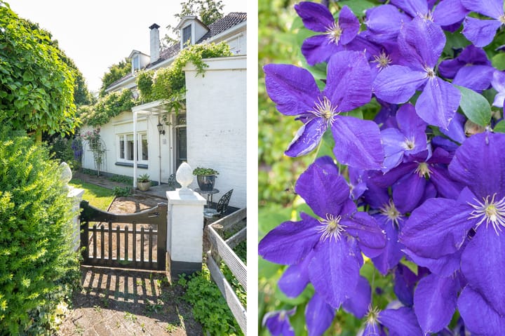 Foto 5 van Horndijk 15