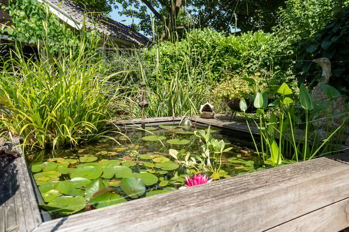 Foto 61 van Horndijk 15