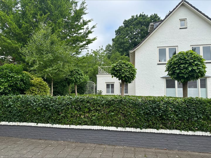 Photo 59 of Van Malsenstraat 11