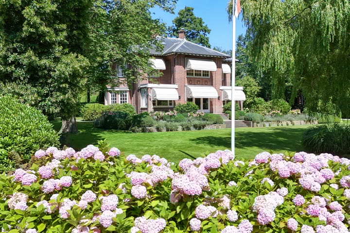 Prins Hendriklaan 7 main image