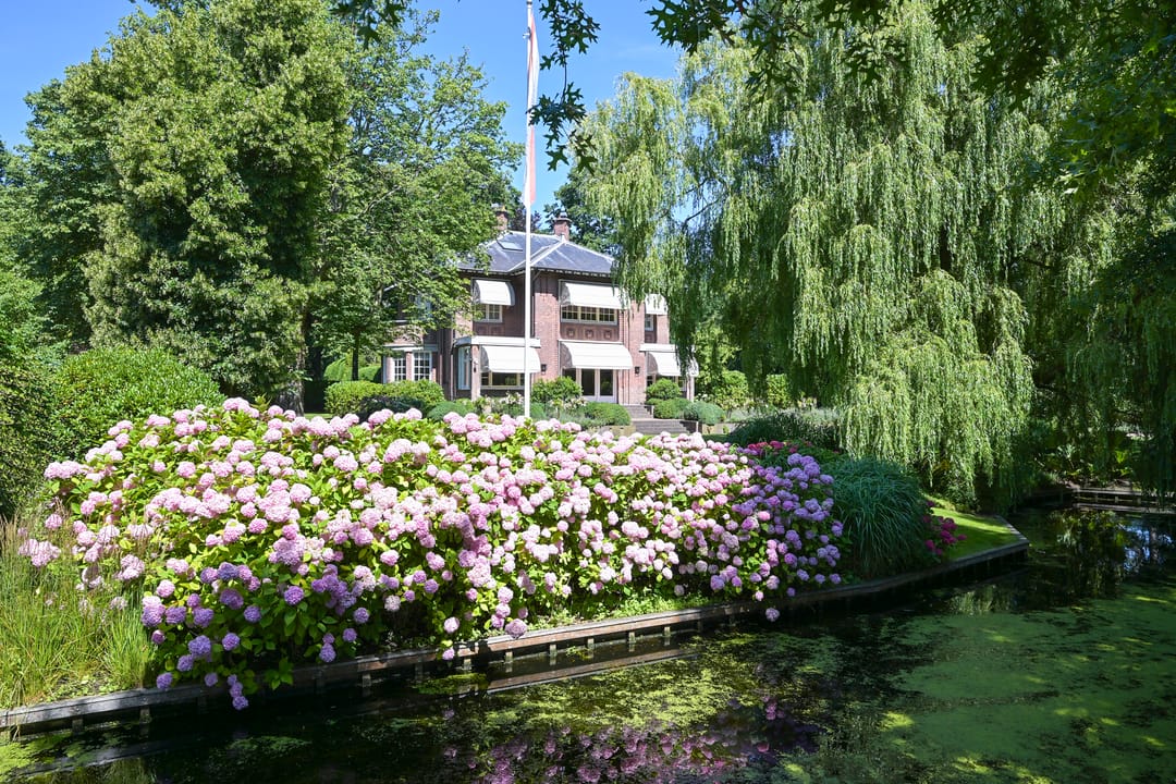 Photo 38 of Prins Hendriklaan 7